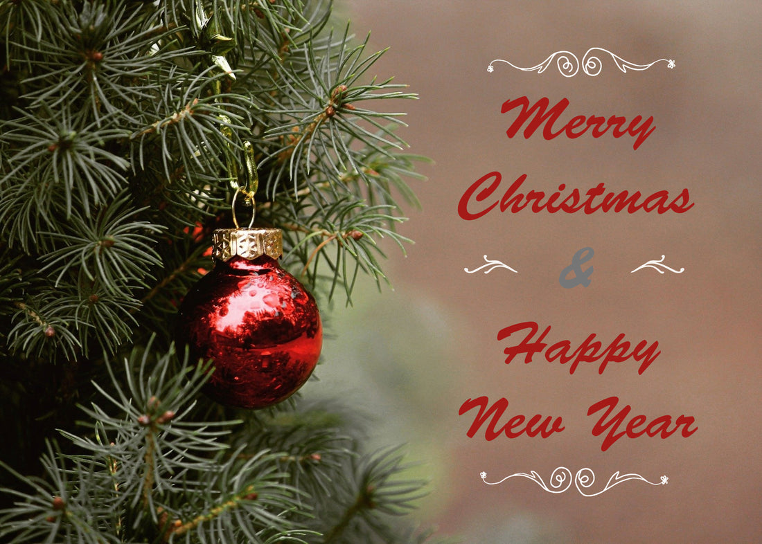 Merry Christmas and a Wonderfully Happy and Successful New Year.