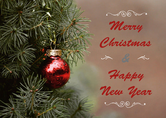 Merry Christmas and a Wonderfully Happy and Successful New Year.