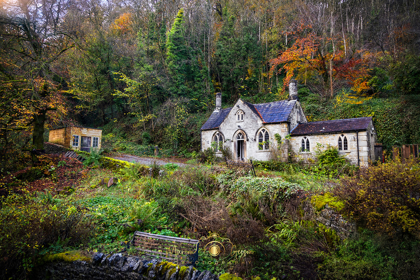 Benched Woodland Retreat