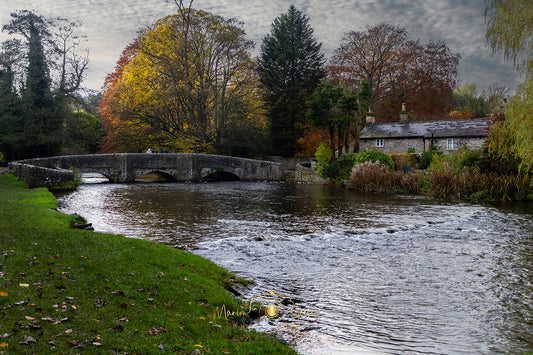 Bridging Seasons