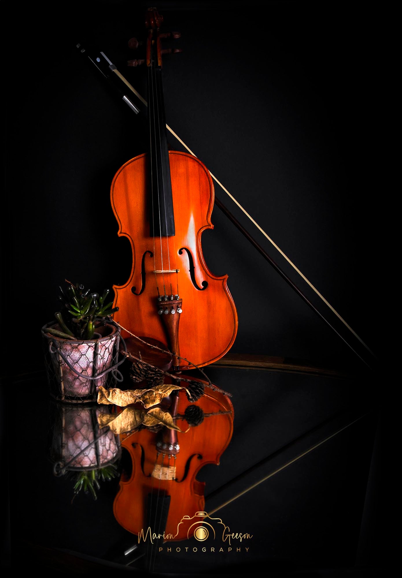 Reflections of a Violin