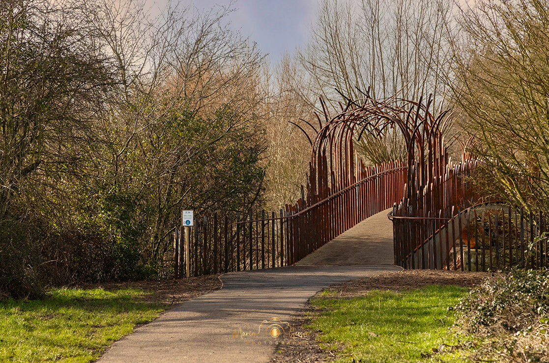 Willow bridge in Ferry Meadows