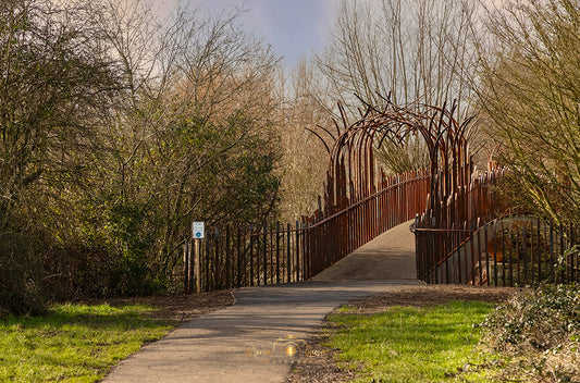 Willow bridge in Ferry Meadows