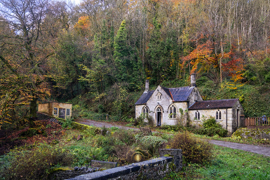 Woodland Retreat