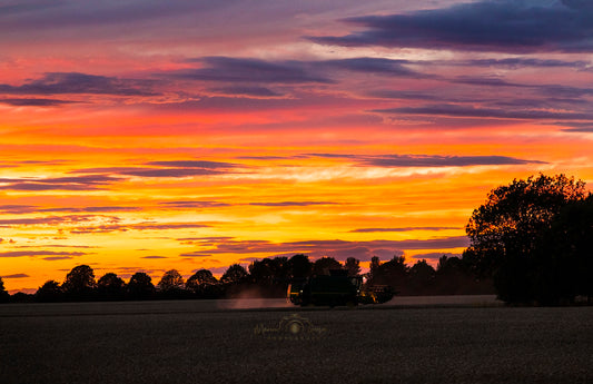 Harvesting Under Fiery Sky