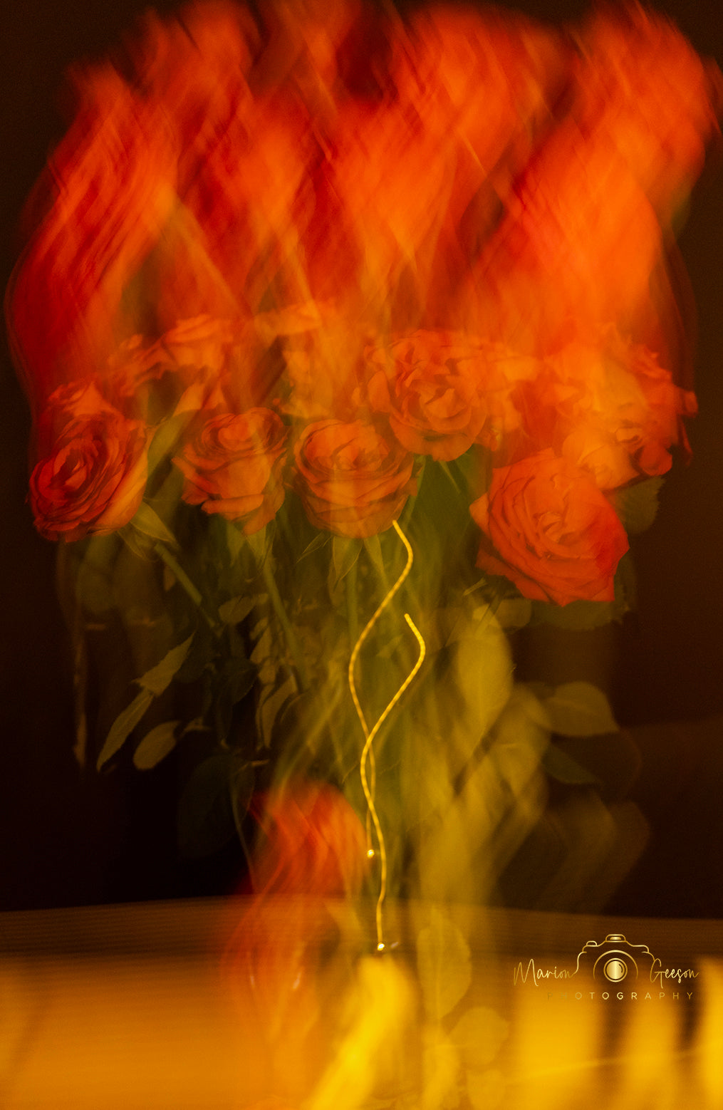 Vase of red Roses - ICM